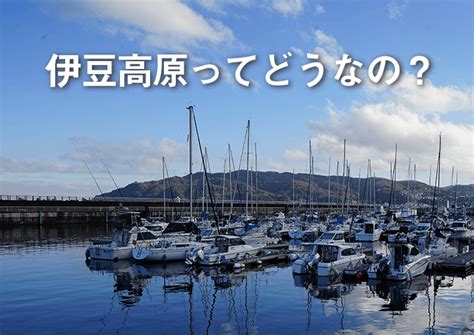 伊豆 気持ち悪い|伊豆高原の移住は失敗だった？東京から伊豆高原へ移。